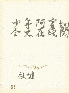 少年阿宾txt全文在线阅读