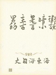 男主是暗卫死士的古言小说