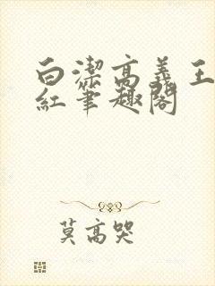 白洁高义王申美红笔趣阁封面