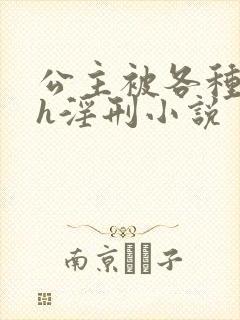 公主被各种调教h淫刑小说