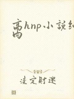 高hnp小说纯肉封面