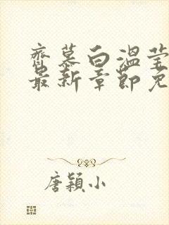 齐慕白温莹小说最新章节免费阅读全