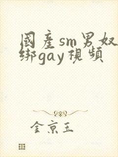 国产sm男奴捆绑gay视频