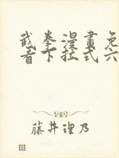 武拳漫画免费观看下拉式六漫画封面