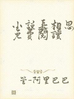 小说长相思原著免费阅读封面