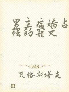 男主病娇占有欲强的宠文