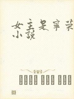 女主是宁荣荣的小说封面