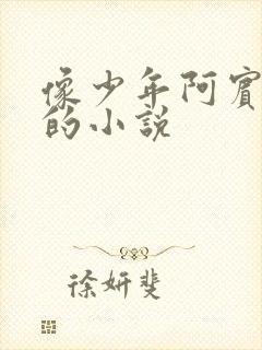 像少年阿宾一样的小说封面