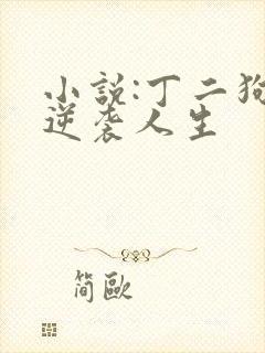 小说:丁二狗的逆袭人生封面
