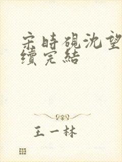 宋时砚沈望星后续完结