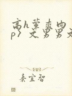高h荤爽肉〈np〉文男男文