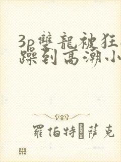 3p双龙被狂c躁到高潮小说封面