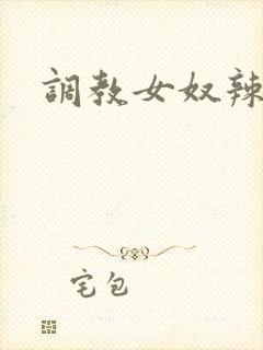调教女奴辣文