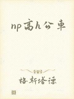 np高h公车