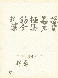 我的极品总裁老婆全集免费封面