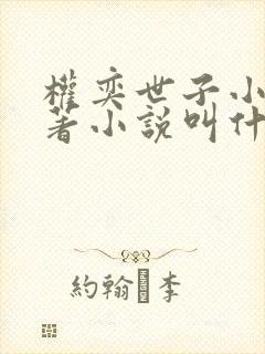 权奕世子小说原著小说叫什么名字啊