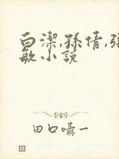 白洁,孙倩,张敏小说