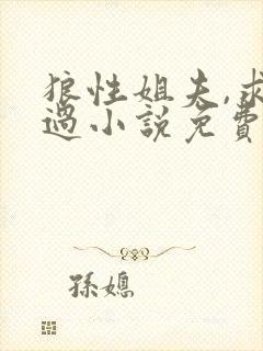 狼性姐夫,求放过小说免费阅读封面