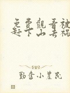免费观看被师父赶下山去祸害师姐小说
