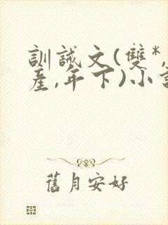 训诫文(双*,产,年下)小说