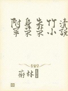 附身朱竹清控制宁荣荣小说封面