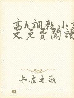 高h调教小说全文免费阅读封面