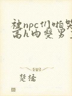 被npc们啪哭高h肉双男主小说