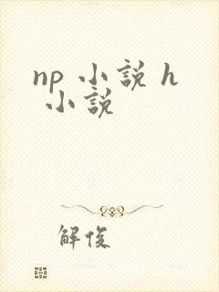 np 小说 h 小说