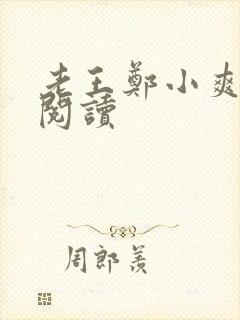 老王郑小爽免费阅读