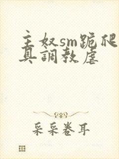 主奴sm跪爬道具调教虐