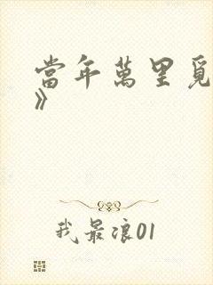 当年万里觅封侯》