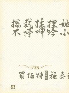 总裁揉捏她两乳不停呻吟小说封面