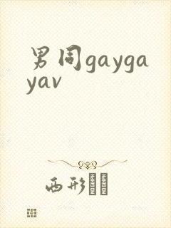 男同gaygayav封面