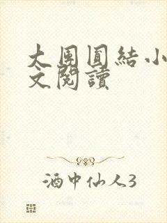 大团圆结小茹全文阅读