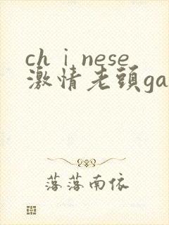 chⅰnese激情老头gaygaygay封面