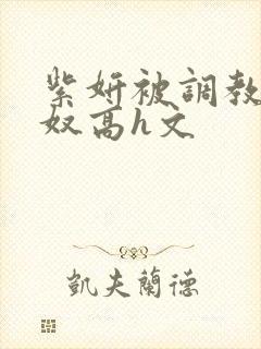 紫妍被调教成肉奴高h文封面