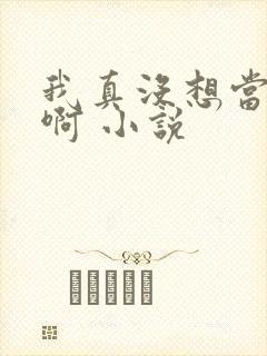我真没想当反派啊 小说封面