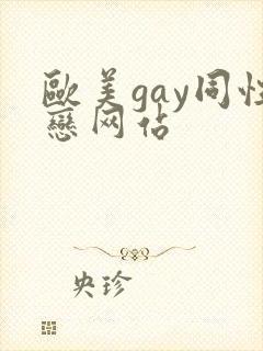 欧美gay同性恋网站