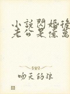 小说闪婚后发现老公是亿万富豪大结局