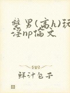 双男(高h)玩淫np伦文