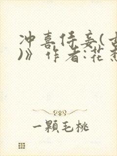 冲喜侍妾(古言)》作者:花想容封面