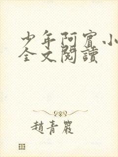 少年阿宾小说 全文阅读