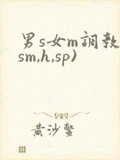 男s女m调教(sm,h,sp)