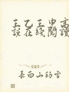 王乙王申高义小说在线阅读