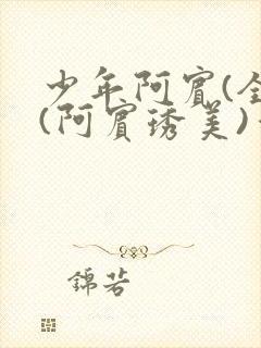 少年阿宾(全)(阿宾琇美)番外+大结局小说