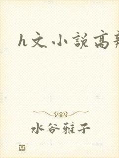 h文小说高辣文