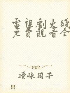 电视剧火线姐妹免费观看全集高清