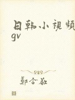 日韩小视频在线gv