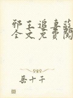 邪王追妻苏小暖全文免费阅读封面