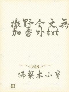撒野全文无删减加番外txt